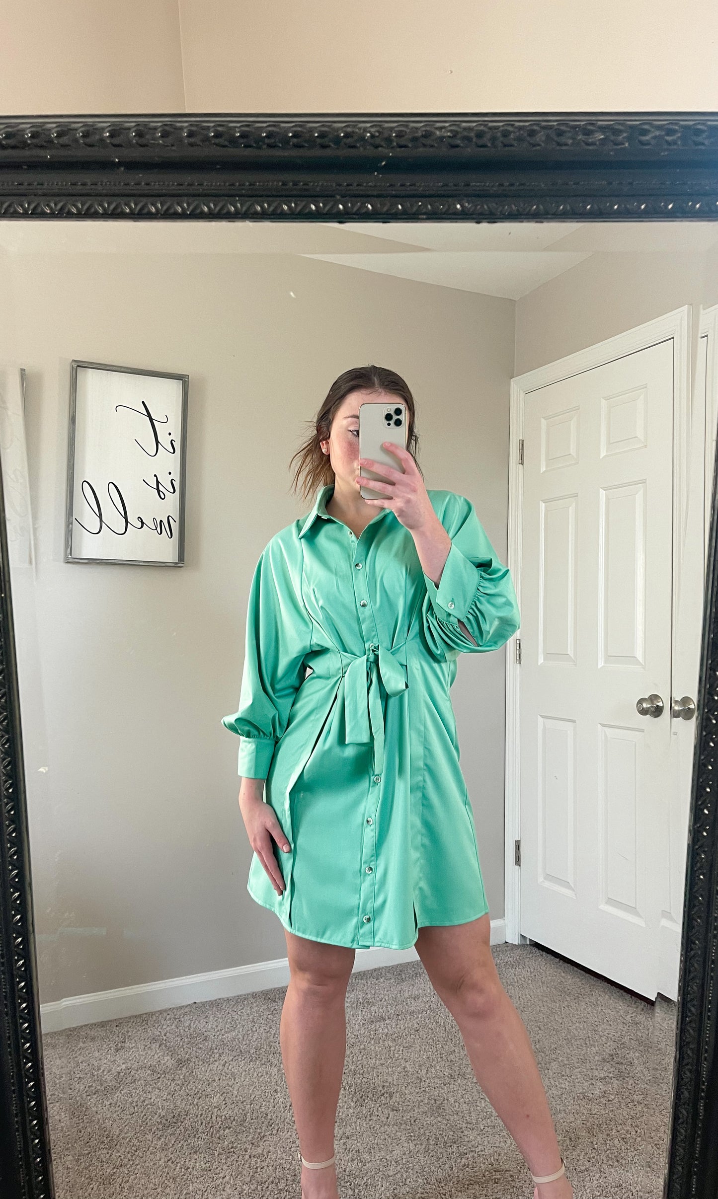 Feeling Spring Dress
